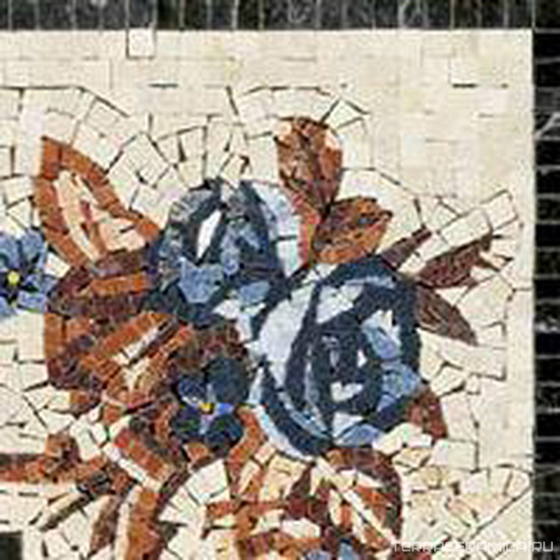 Renoir Elemento 7 ZZ |30x30