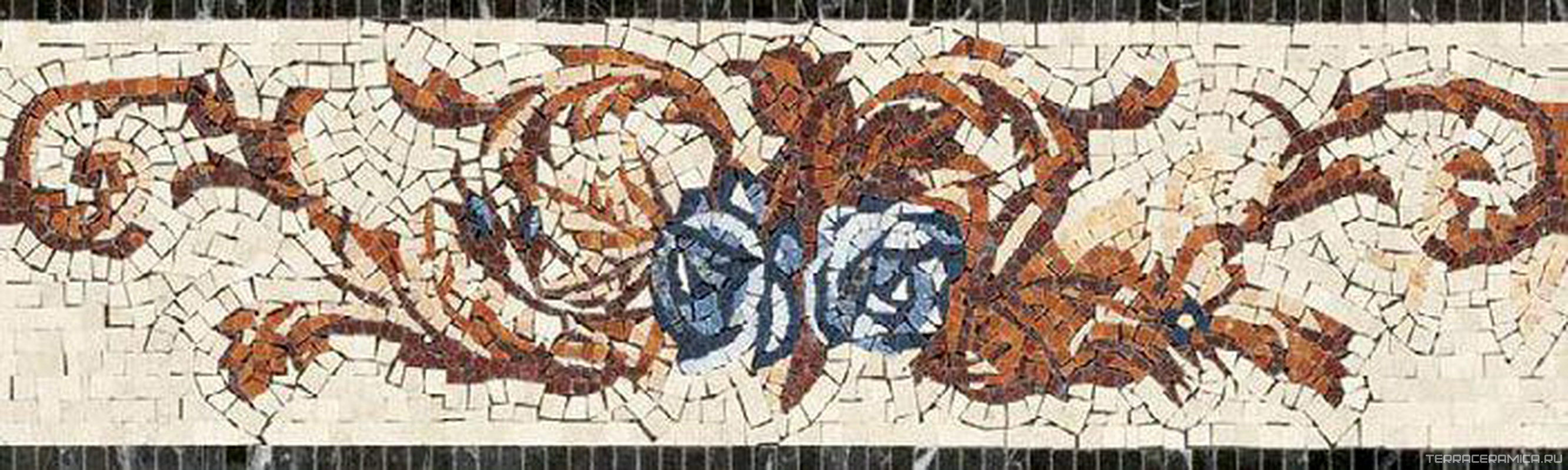 Renoir Elemento 5 ZZ |30x100