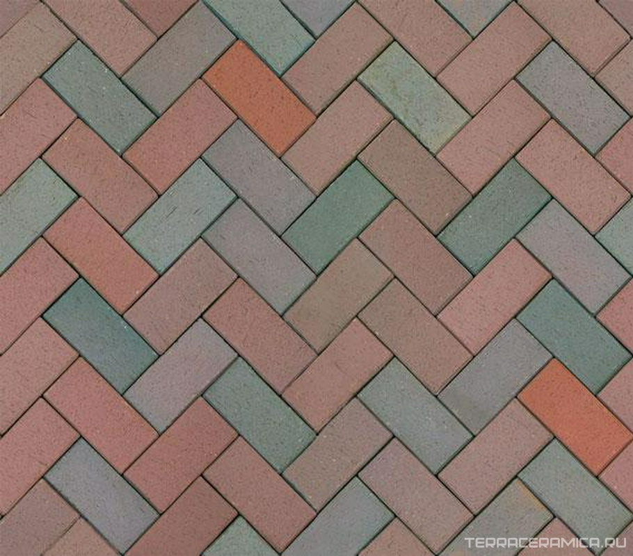 Кирпич трот. Red-marron flashed Klinker XX |20х10х5
