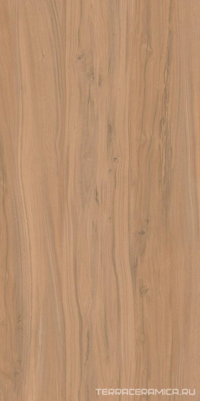 Alleya 2102 Коричневый Структурированный 60x120