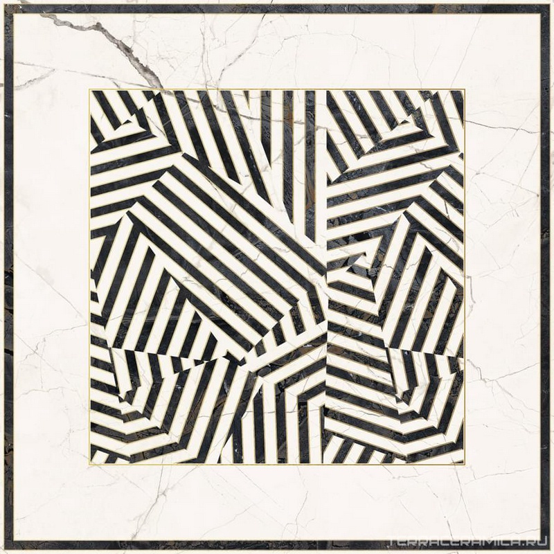 Zebra6 120LP  XX 120x120