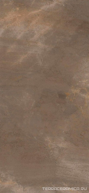 TREX6 260TO LP  120x260 XX