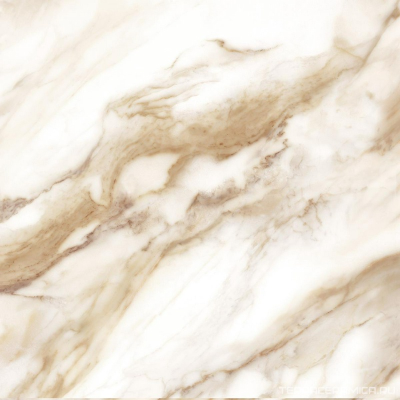 CALACATTA ORO |42x42