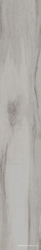 Kuni 2012W |20x120