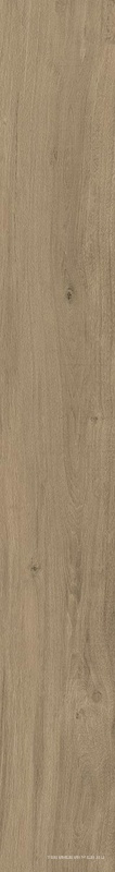 DAMA6 2015NO RM 20x150