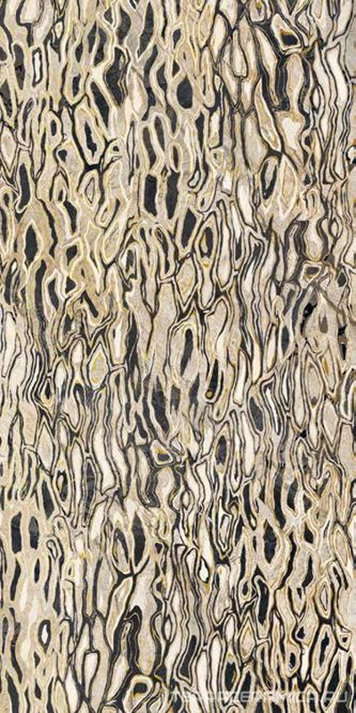 GHEPARD6 12LP XX 60x120