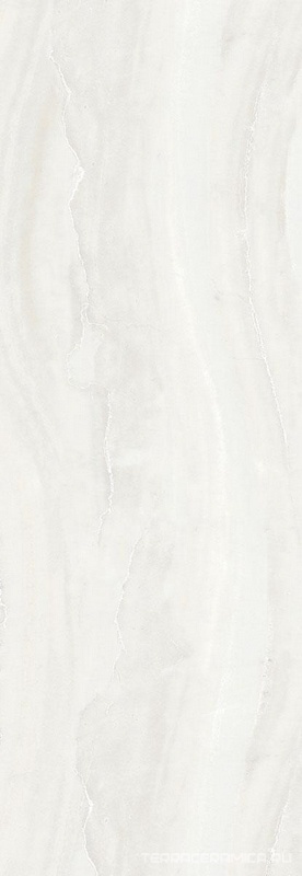 Gala R |24.2x70