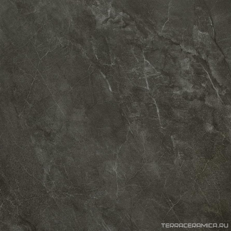 Muse 60DG PT ZZ|60x60   