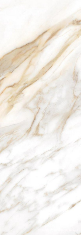 CALACATTA ORO |24.2x70