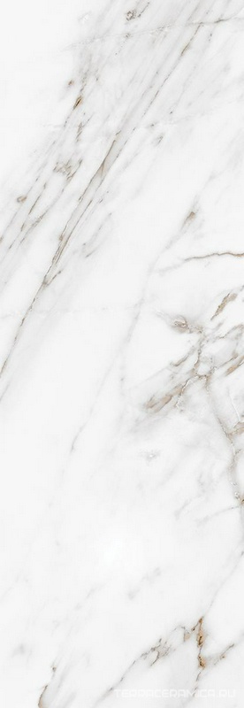 Calacatta Grey 24.2x70