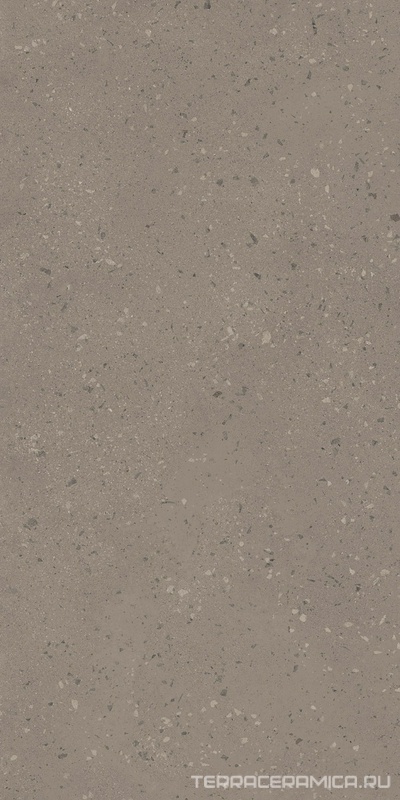 Астеро RO02  серый непол. рект. 60x120 ZZ