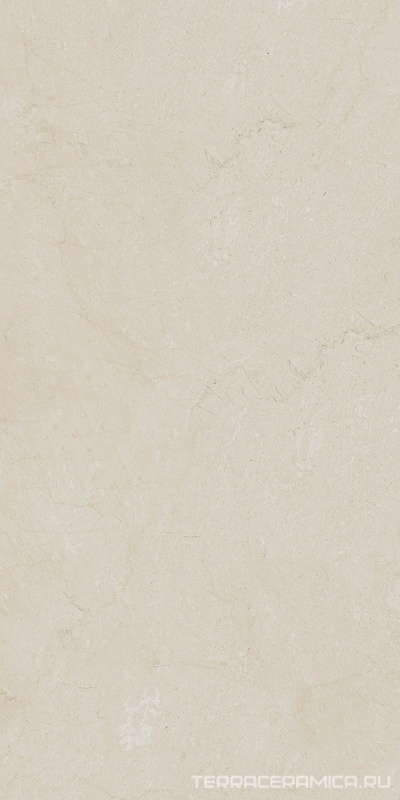 Элемента AEM00 бежевый непол. рект. 60x120 ZZ