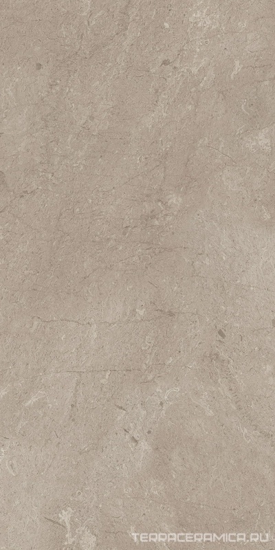 Элемента AEM02 серый непол. рект. 60x120 ZZ