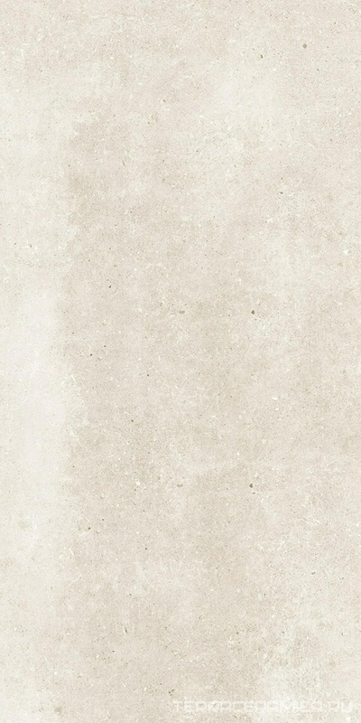 Ronda светло-серая   60x120 ZZ