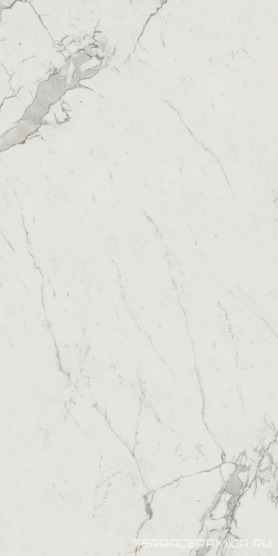 Marvel Calacatta Extra Lappato ZZ 120x240