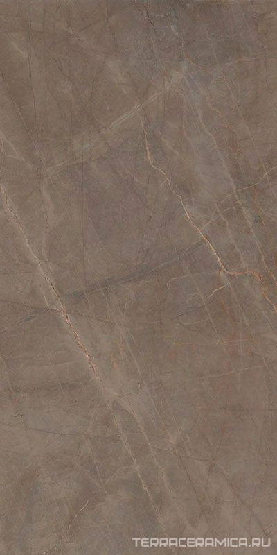 Pulpis Brown Lucidato (Shiny) 6 mm XX | 150x300