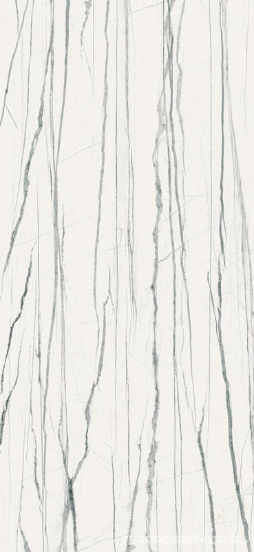 Daren Blanc Pulido7 мм|120x260
