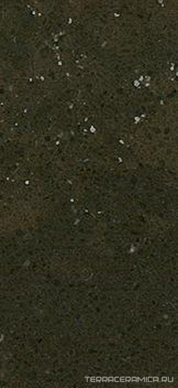 08 Daphne 2 cm XX |124x305