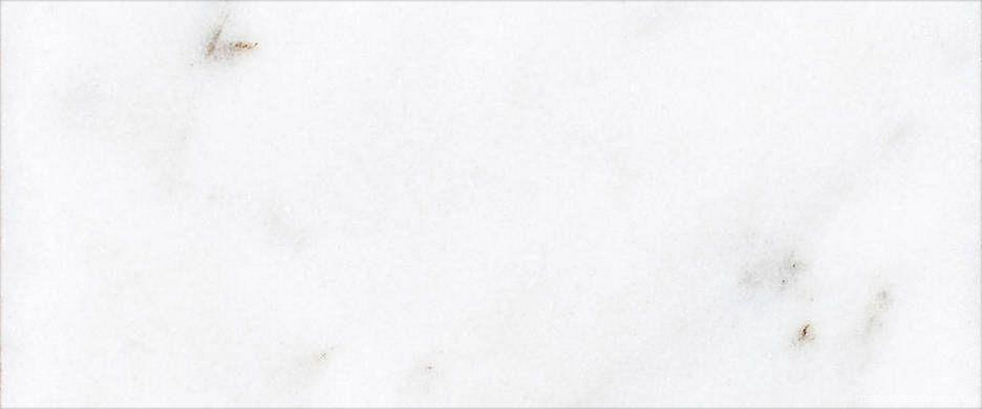 Blanco Ibiza Primera Marbl Slab