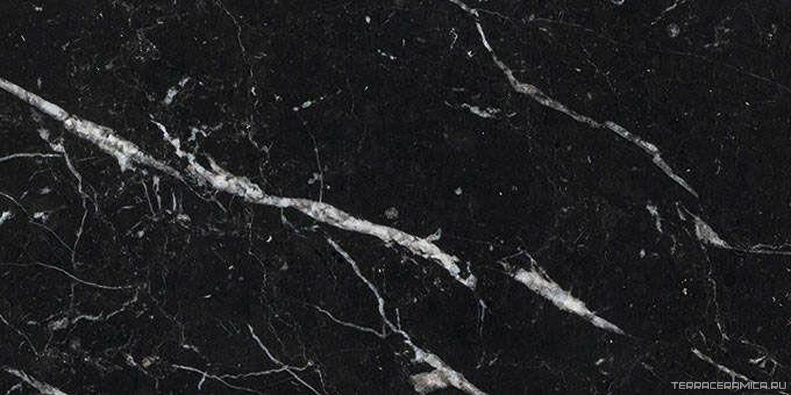 Negro Marquina Primera Marbl Tile | 30.5х61