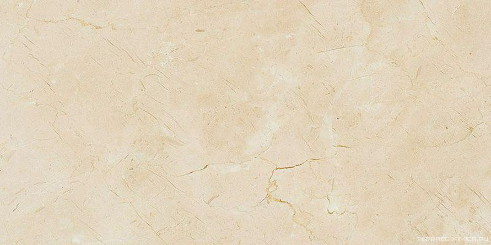 Crema Marfil  Marbl Tile |30.5х61