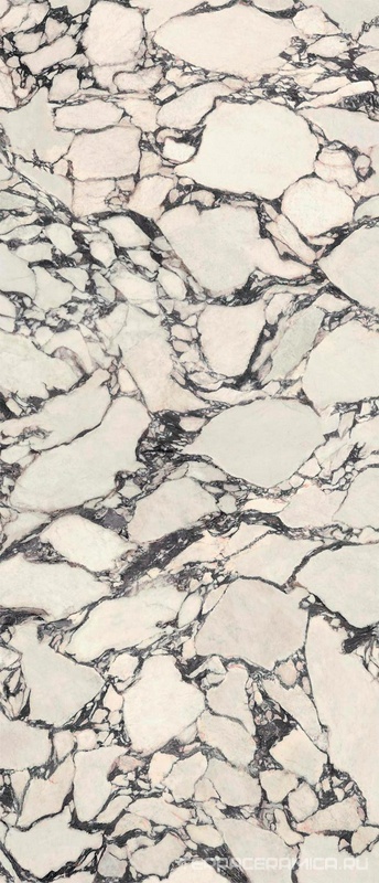Marvel Epic Calacatta Viola 6mm Lapp. ZZ 120x278