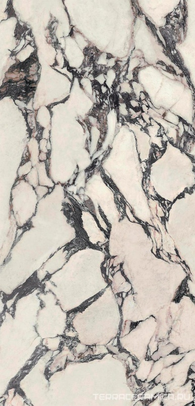 Marvel Epic Calacatta Viola lapp ZZ 60x120