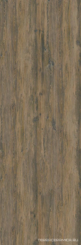 Plank BG 111 5.5 mm 100x300