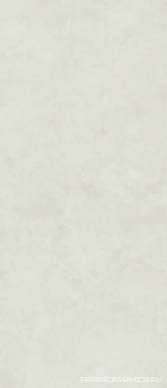 VIS6 278W RM (п.п.) ZZ 120x278