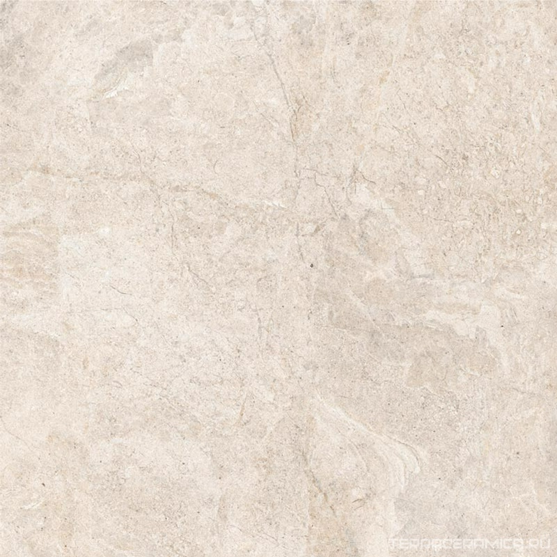 Desert beige 60x60 ZZ