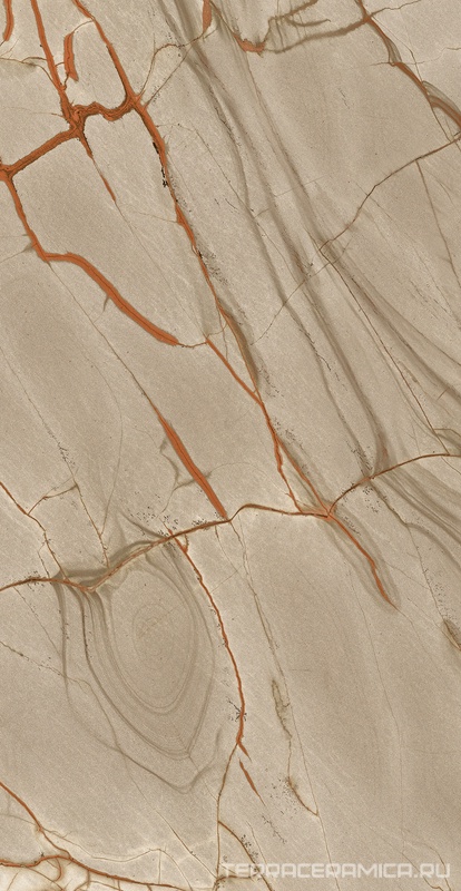 Rainforest Matte PTV - R10 PTV ZZ 60x120