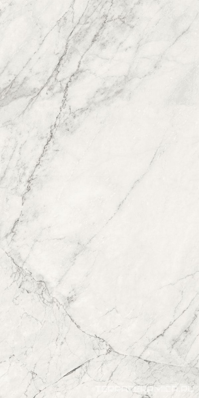 AE CAL6 12 RM |60x120