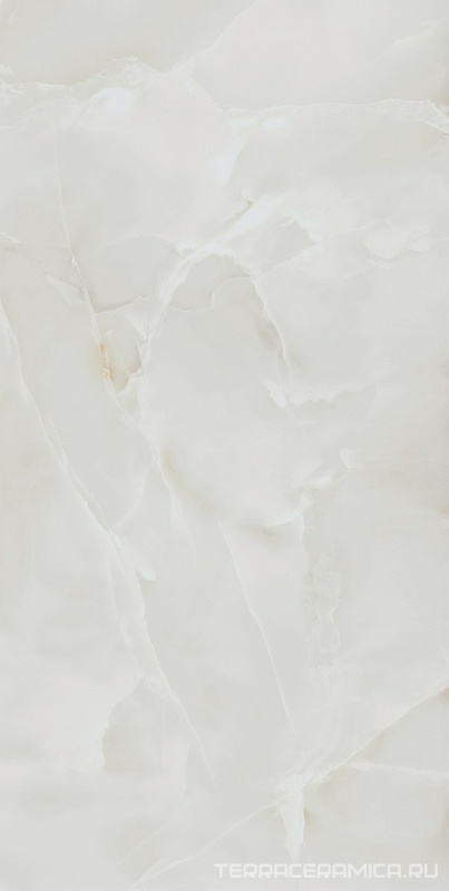 Onix White lev 60x120