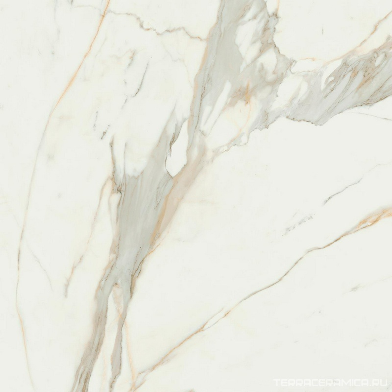 Calacata Gold Compacglass 120x120 Rec.