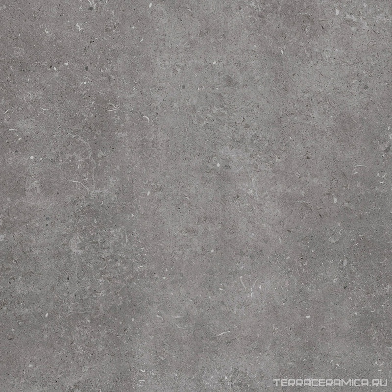 Ronds серая 60x60 ZZ