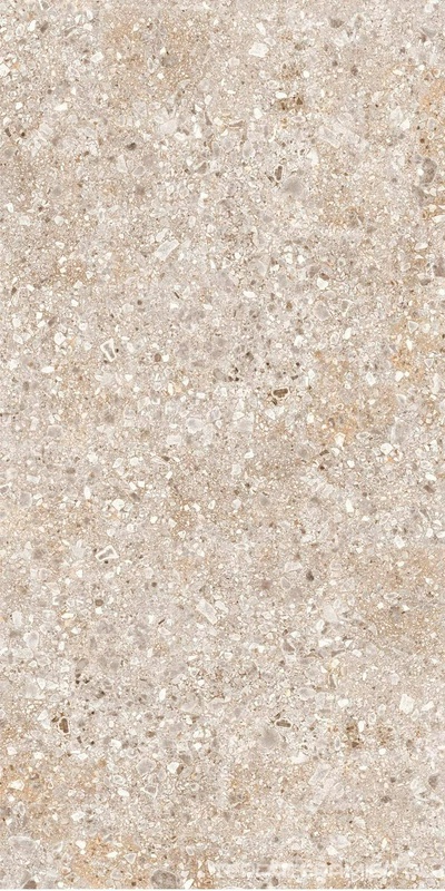 Treviso серая 60x120 ZZ