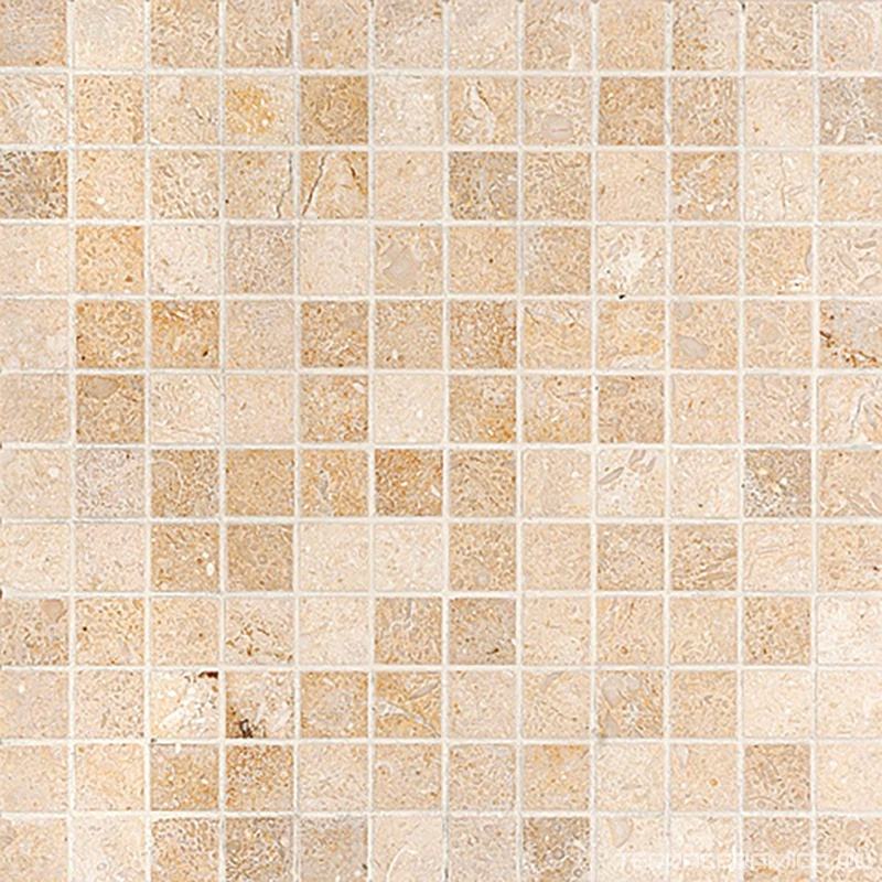 Seashell honed str 1x1 ZZ |30.5X30.5X1