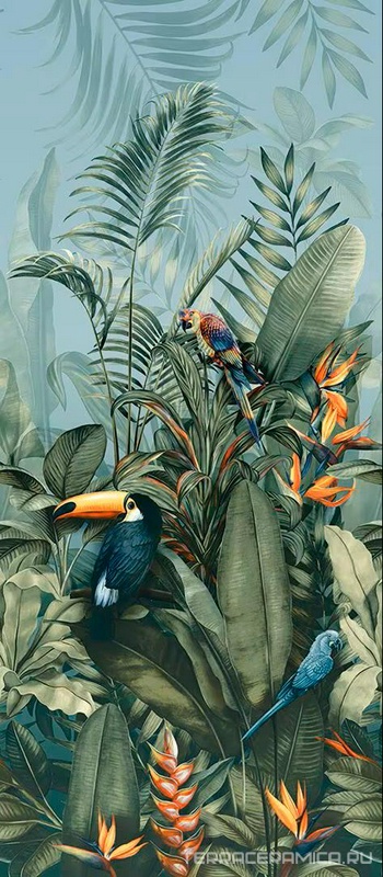 Carioco A (TUCANO) ZZ 120x278