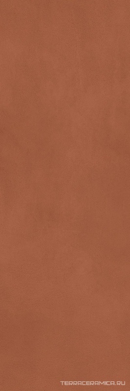 Calce Terracotta 5,6  ZZ 100x300