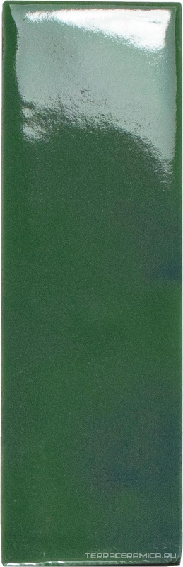 Bejmat Olive gloss ZZ 5x15