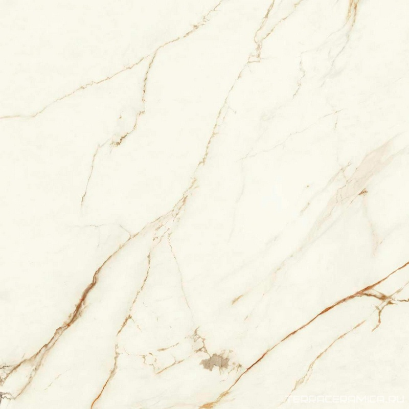 Marvel Calacatta Imperiale Lapp ZZ 120x120 .