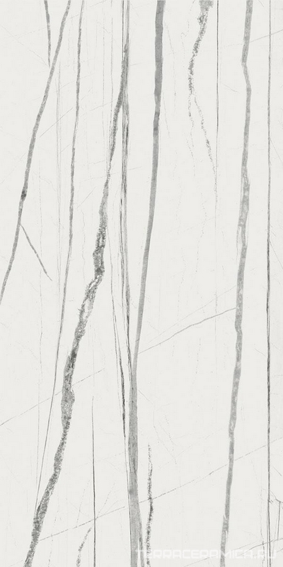 Daren Blanc Pulido ZZ 60x120