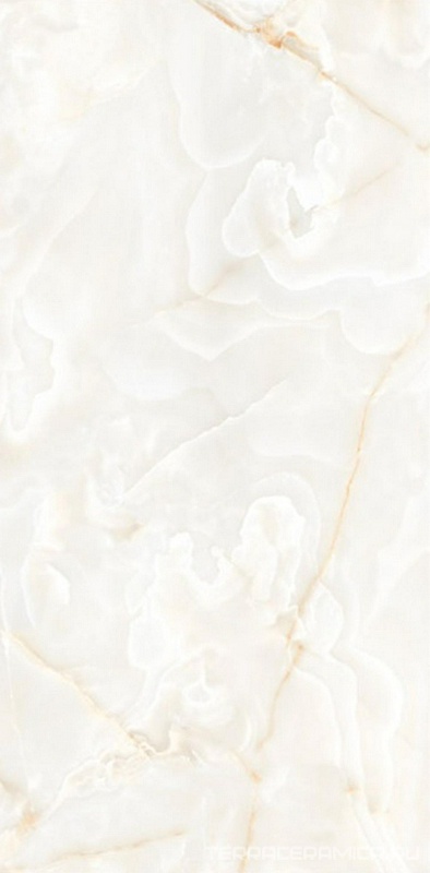 Zenith Onyx Ice pol.60x120