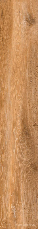 At. Viggo Fresno Rett|20x120