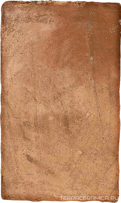Cotto nat |30x50