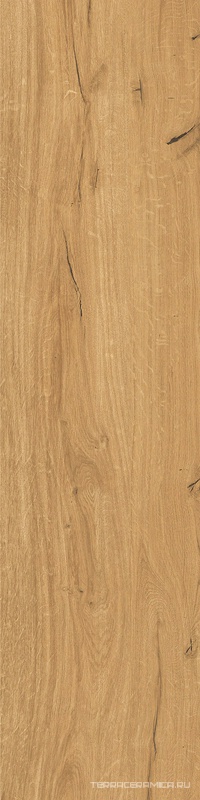 Feelwood Cognac  ZZ 30x120