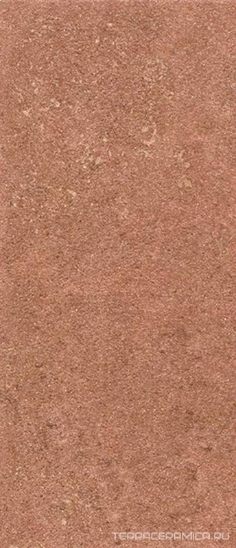 Подступенок Аллея кирпичный |9.6x30