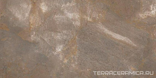 Tortora