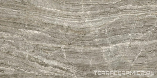 DAINO GRIGIO