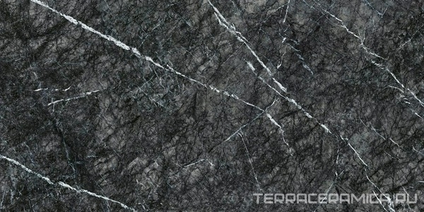 Grigio Carnico